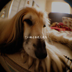 Cheerful Ambience for Chilled Rooms