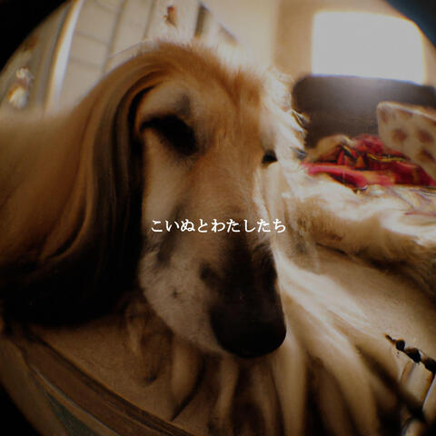 こいぬとわたしたち