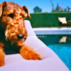 Deluxe Enhancing Environments