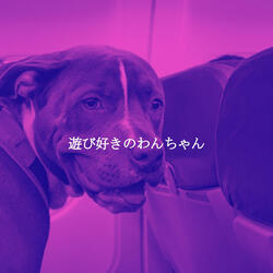 Brilliant Ambiance for Tranquil Inspiring