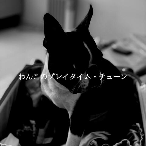 わんこのプレイタイム・チューン