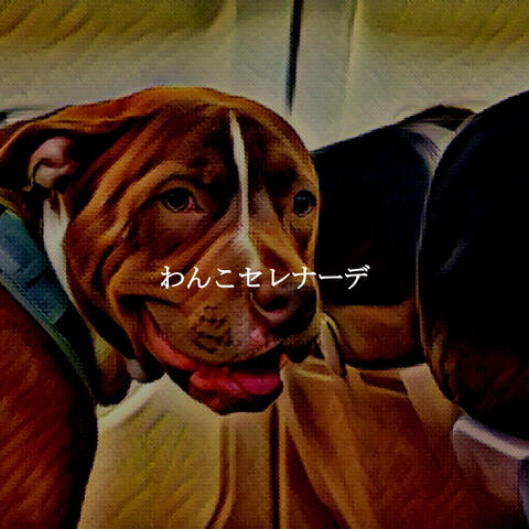 わんこセレナーデ