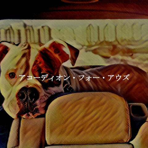 アコーディオン・フォー・アウズ