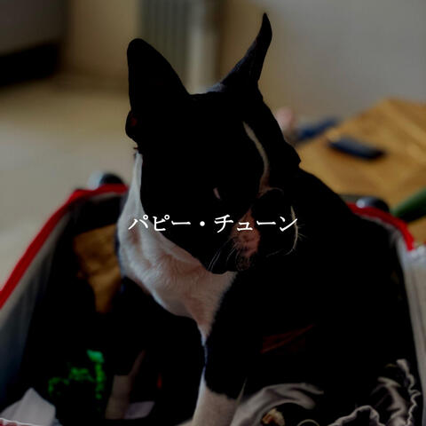 パピー・チューン