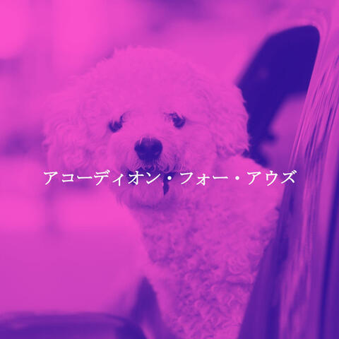 アコーディオン・フォー・アウズ
