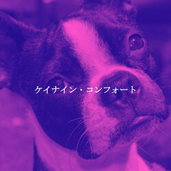 Sublime Backdrops for Mellowed Focus