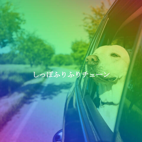 しっぽふりふりチューン