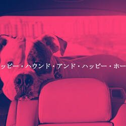 Quiet Deep Work Session