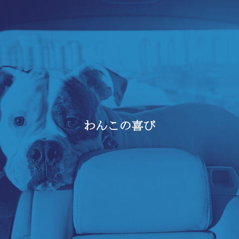 わんこの喜び