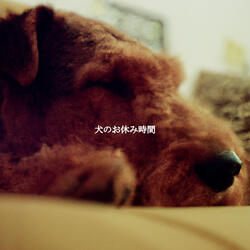 Classic Lively Tones