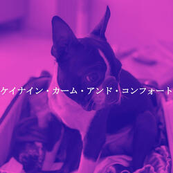 Smoky Backdrops for Tranquil Inspiring