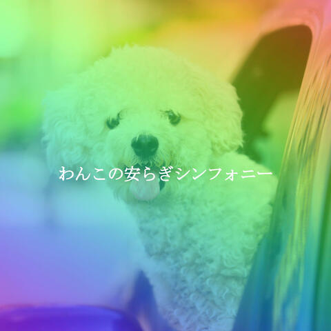 わんこの安らぎシンフォニー