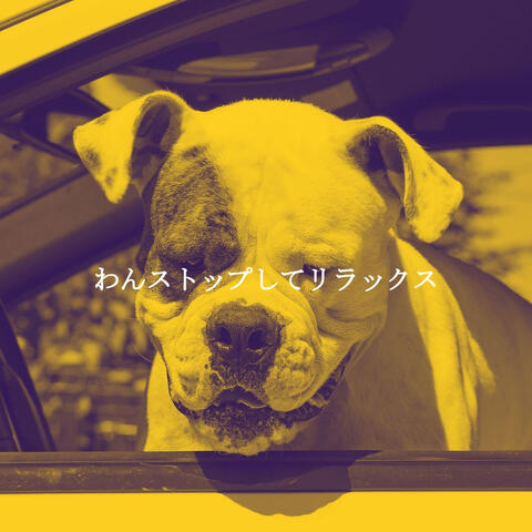 わんストップしてリラックス