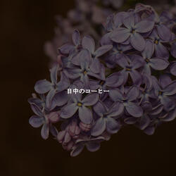 Happening Waltz - Vibe for Peak Relax