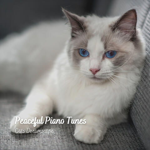Peaceful Piano Tunes: Cats Dreamscape