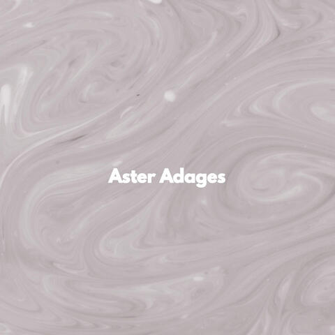 Aster Adages