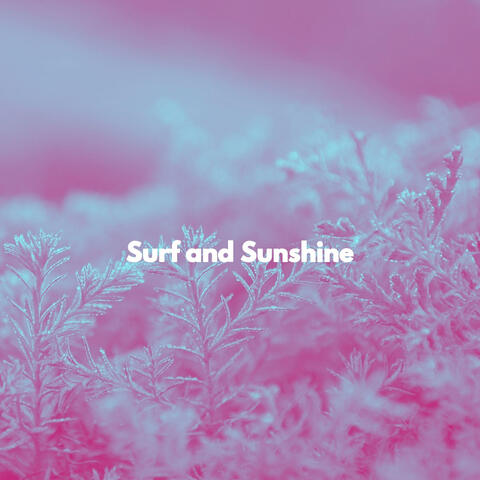 Surf and Sunshine