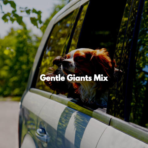 Gentle Giants Mix
