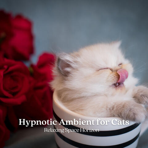 Hypnotic Ambient for Cats: Relaxing Space Horizon