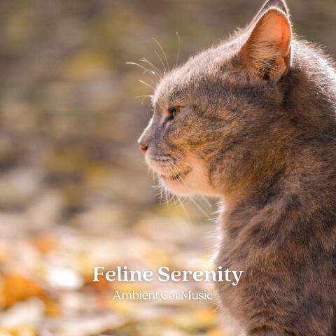 Feline Serenity: Ambient Cat Music
