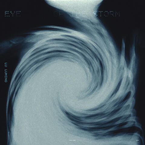 Eye of The Storm (Original Motion Picture Soundtrack)