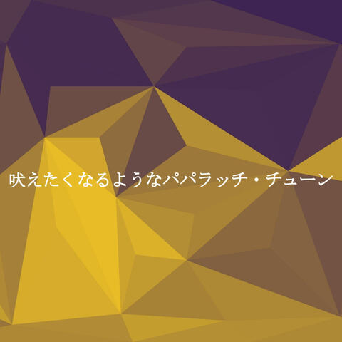 吠えたくなるようなパパラッチ・チューン