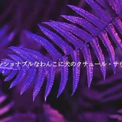 Energetic Son Montuno Trumpet - Vibe for Fly Summer