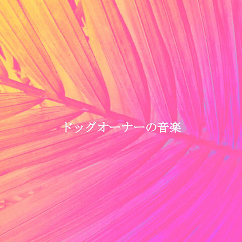 ドッグオーナーの音楽