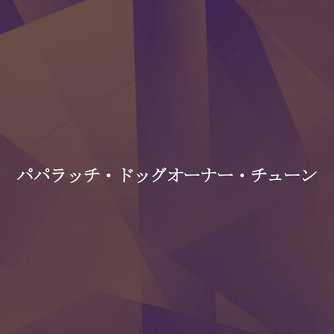 パパラッチ・ドッグオーナー・チューン