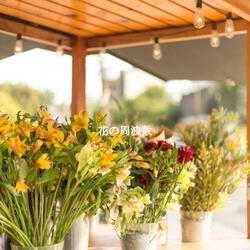 Bubbly Backdrops for Dazy Days