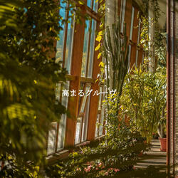 Urbane Moods for Chilled Heat