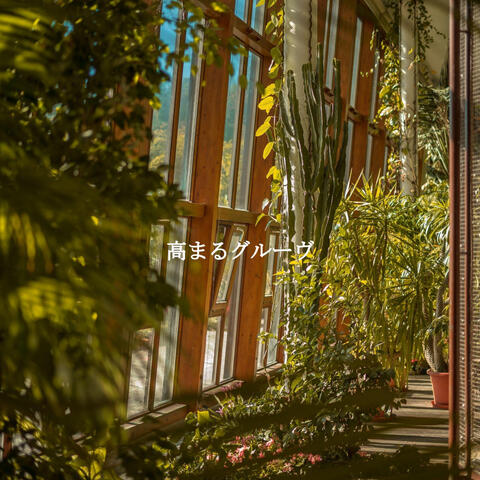 高まるグルーヴ