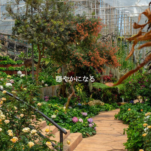 穏やかになる