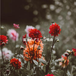 Swanky Staying Freshed