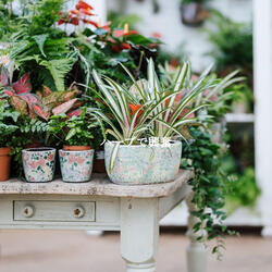 Excellent Backdrops for Chilled Heat