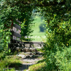 Hip Son Montuno Trumpet - Vibe for Hazy Days