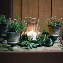 Luxurious Ambience for Cooling Off
