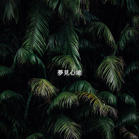 夢見心地