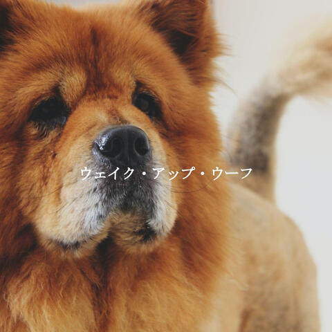 ウェイク・アップ・ウーフ