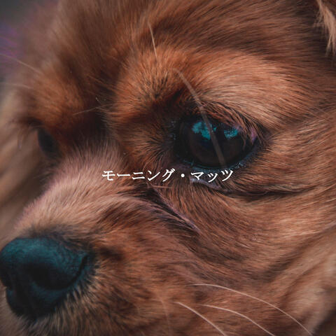 モーニング・マッツ