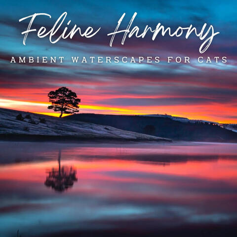 Feline Harmony: Ambient Waterscapes for Cats