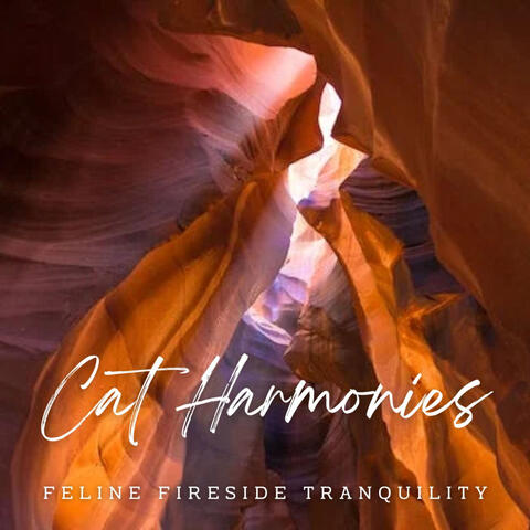 Feline Fireside Tranquility: Ambient Cat Harmonies