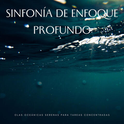Sinfonía De Enfoque Profundo: Olas Oceánicas Serenas Para Tareas Concentradas