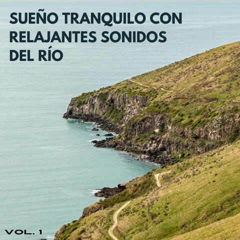 Sueño Tranquilo Con Relajantes Sonidos Del Río Vol. 1