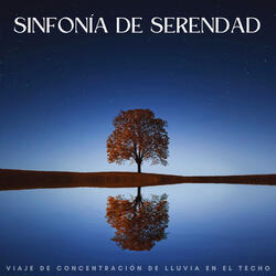 La Lluvia Del Techo Mejora El Viaje De Concentración