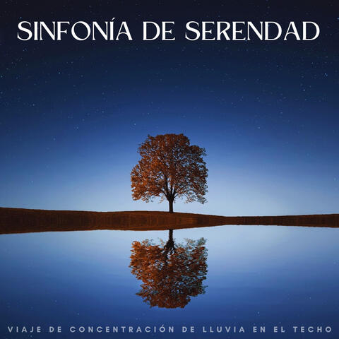 Sinfonía De Serendad: Viaje De Concentración De Lluvia En El Techo