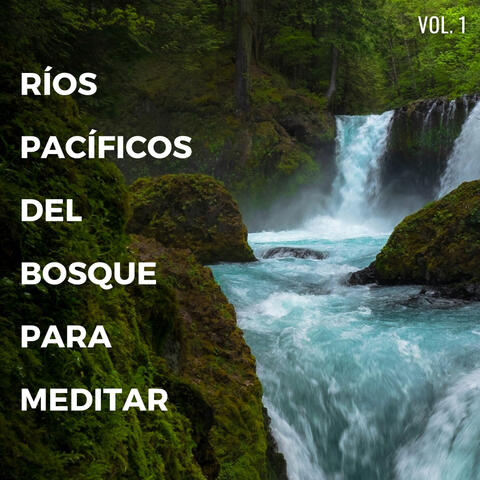 Ríos Pacíficos Del Bosque Para Meditar Vol. 1
