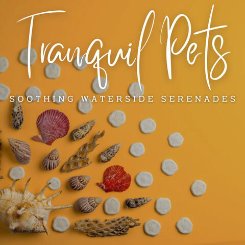 Paws and Waves: Ambient Music for Tranquil Pets