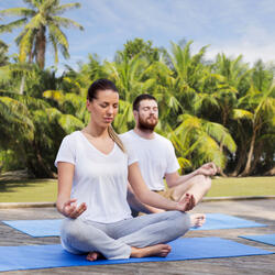 Lofi Melodies in Meditation Harmony