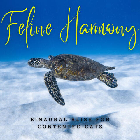 Ambient Oceanic Feline Harmony: Binaural Bliss for Contented Cats